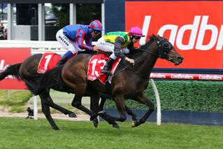 The Chosen One (NZ) secured the Group Two Herbert Power Stakes (2400m). 